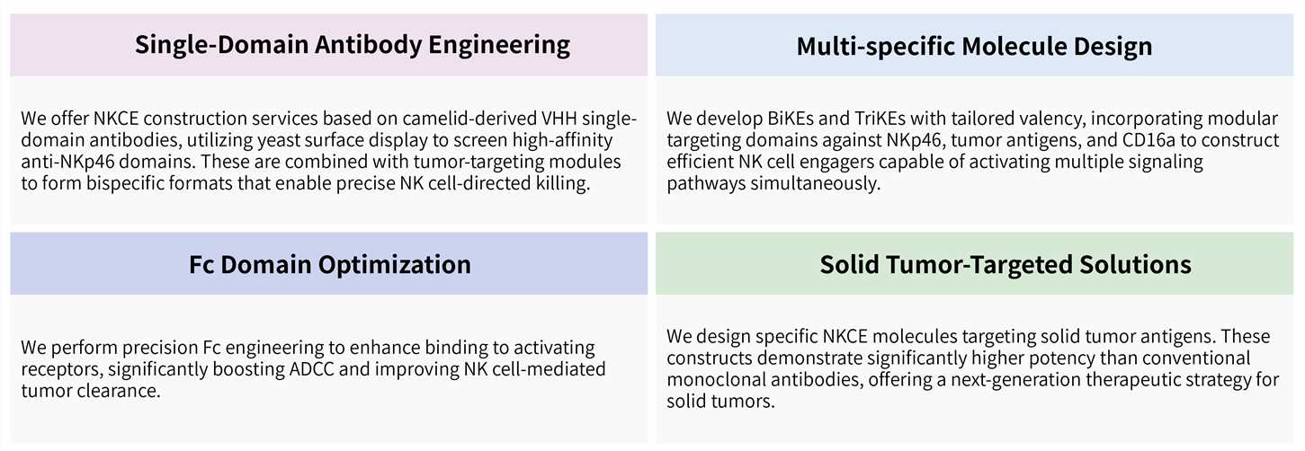 Featured services of NKp46-based NKCE platform for NK cell engagement. (Creative Biolabs Original)