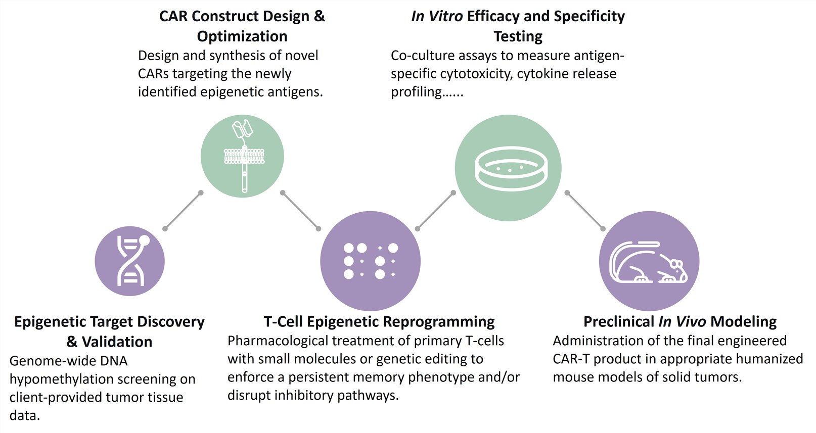 Workflow of CAR-T Development by Epigenetic/Pharmacologic Antigen Modulation. (Creative Biolabs Original)