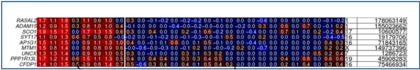 DNA Methylation Heatmap. (OA Literature)