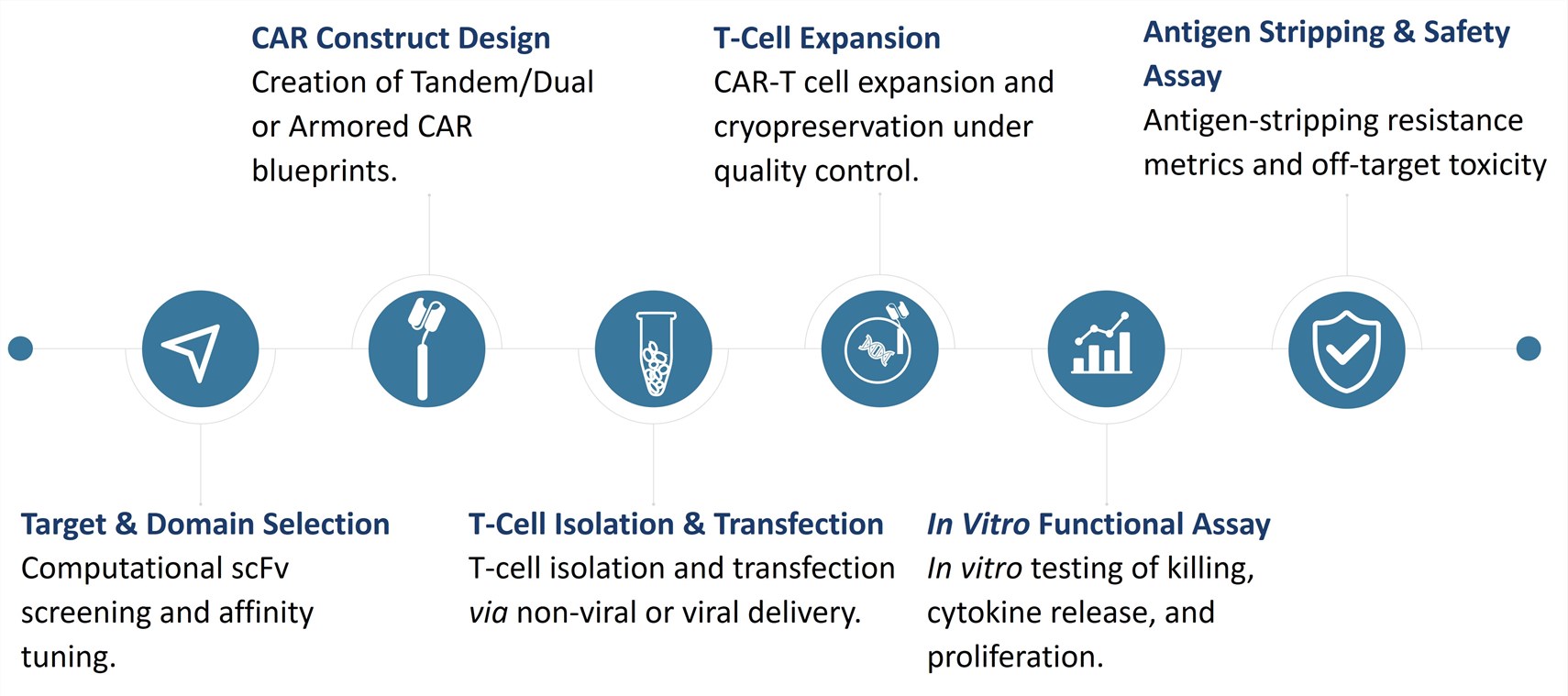 Workflow of CAR-T Development by Preventing Antigen Stripping. (Creative Biolabs Original)
