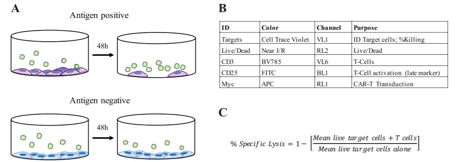 In Vitro Cytotoxicity Analysis Service