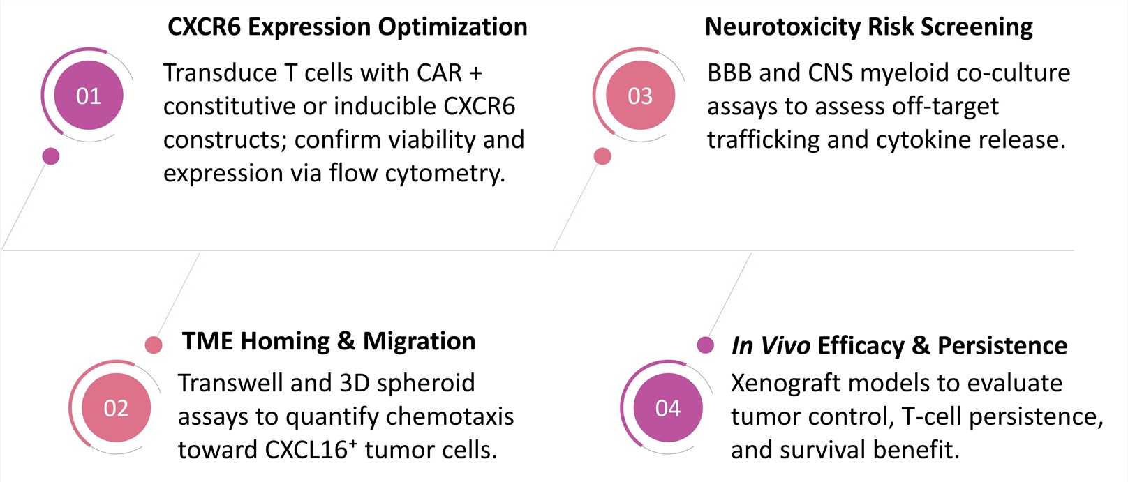 Workflow of CXCL16-CXCR6 Chemokine-Axis Matching CAR-T Development. (Creative Biolabs Original)