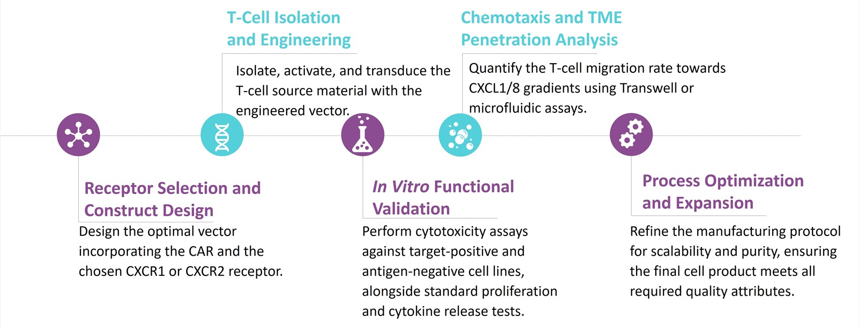 Workflow of CXCL1/8-CXCR1/2 Chemokine-Axis Matching CAR-T Development. (Creative Biolabs Original)