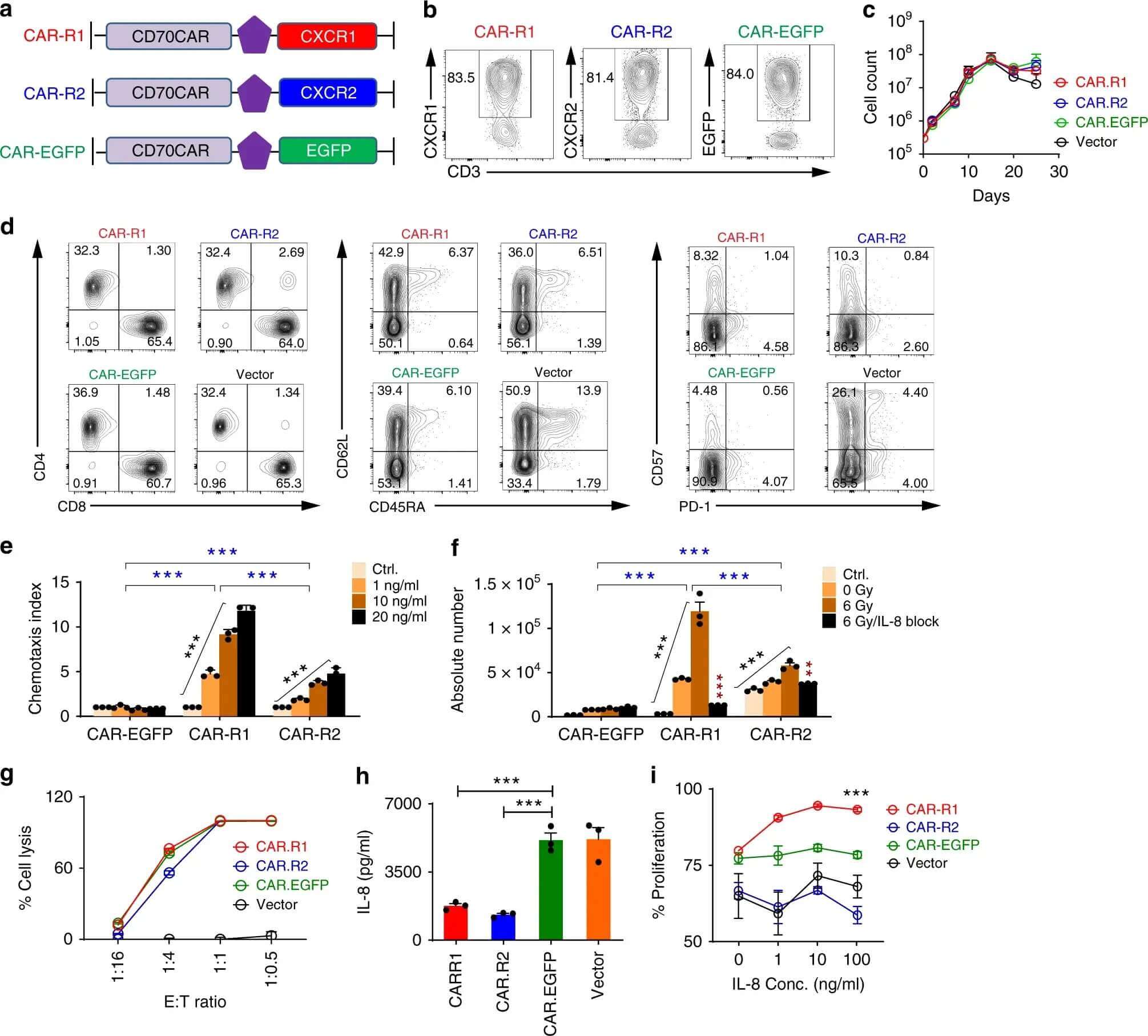 Engineering and in vitro analysis of CAR T cells modified with CXCR-1 or CXCR-2. (OA Literature)