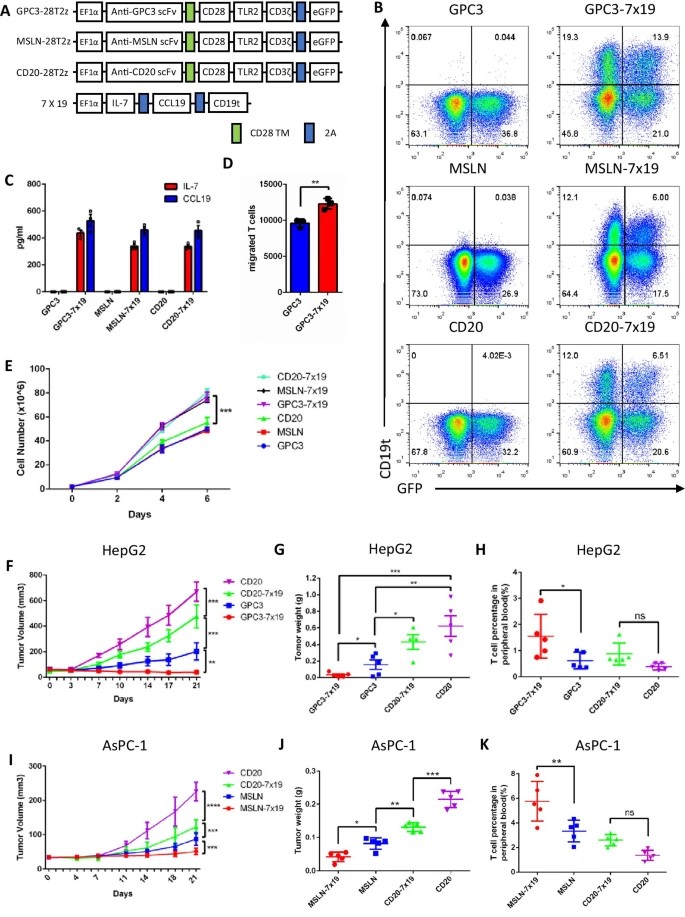Generation and analysis of CAR-T cells by flow cytometry. (OA Literature)