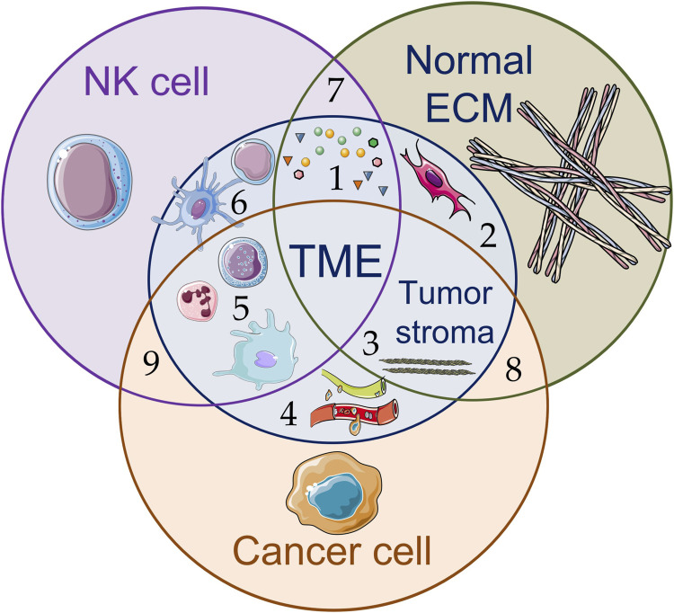 Various components of the tumor microenvironment. (OA Literature)