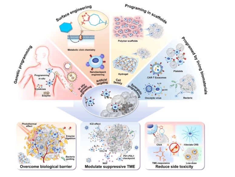 Programming CAR-T cells with bioactive materials for potentiated tumor therapy. (OA Literature)