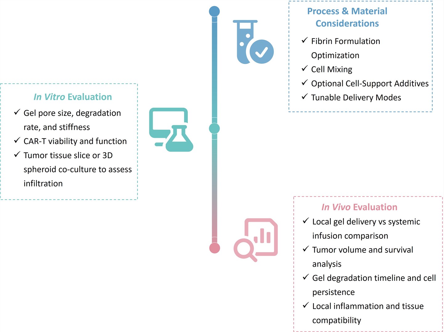 Test of Solid Tumor Targeting CAR-T Development Service through Fibrin Gel. (Creative Biolabs Original)