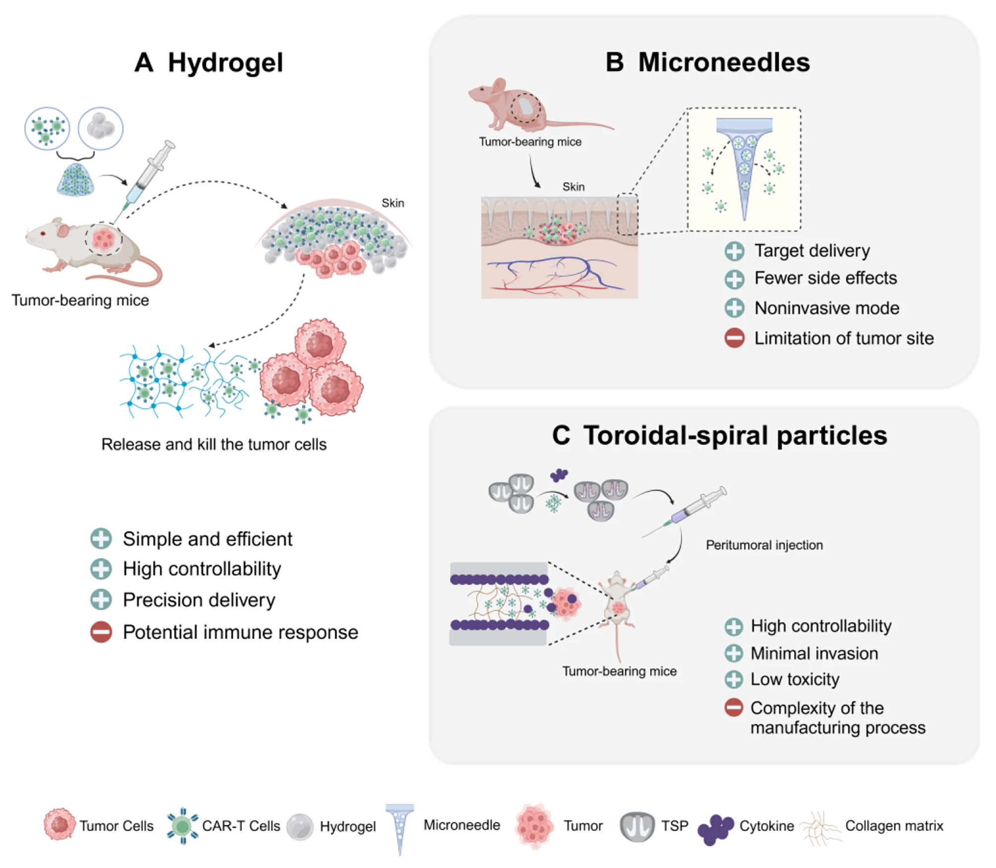 Ancillary delivery strategies for CAR-T cells in the preclinical setting. (OA Literature)