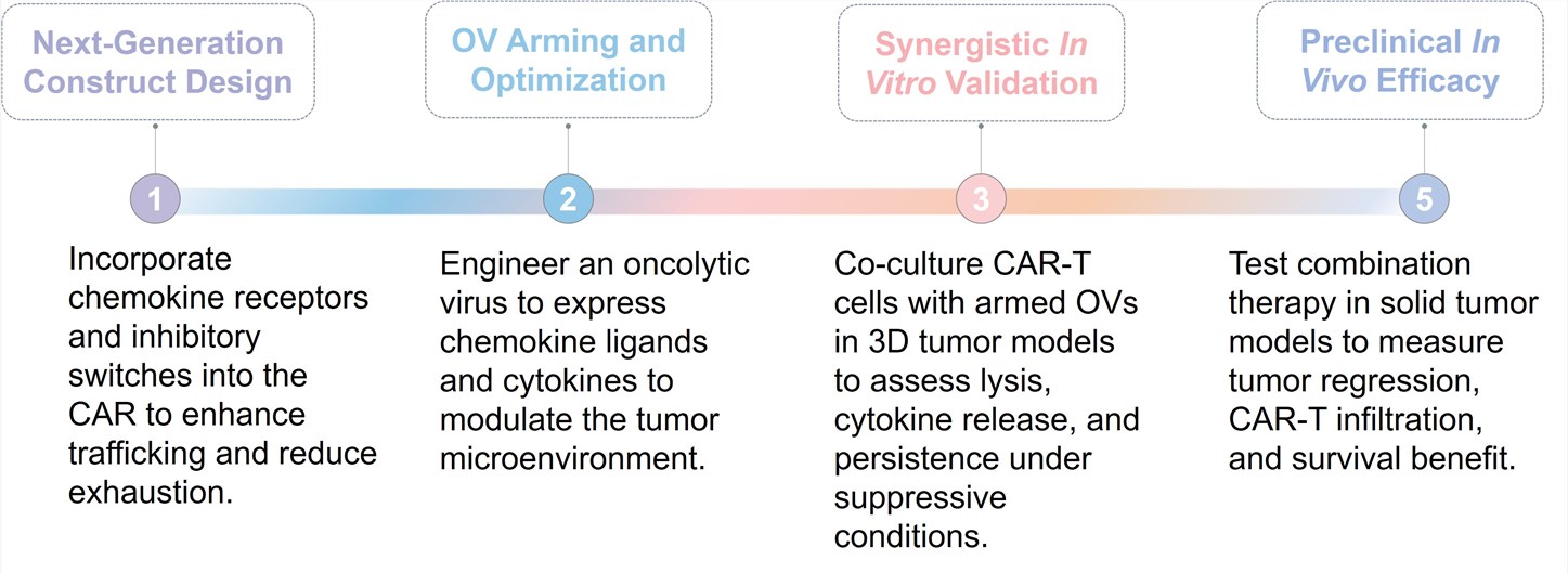 Workflow of CAR-T Development. (Creative Biolabs Original)