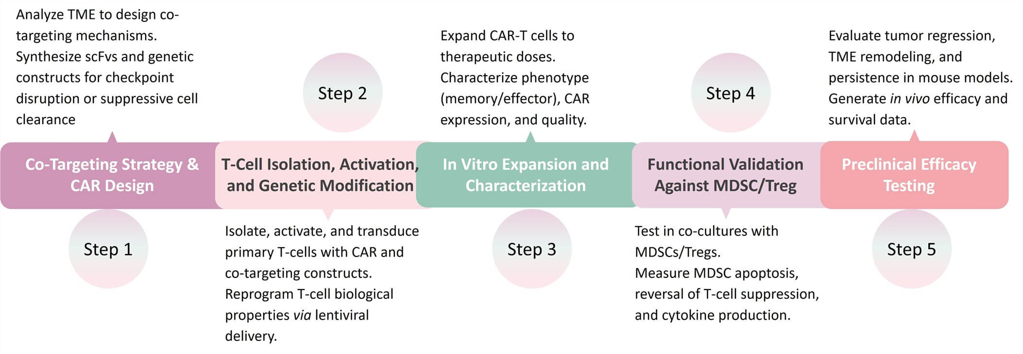 Workflow of Solid tumor CART development by Depletion of MDSCs and Tregs. (Creative Biolabs Original)