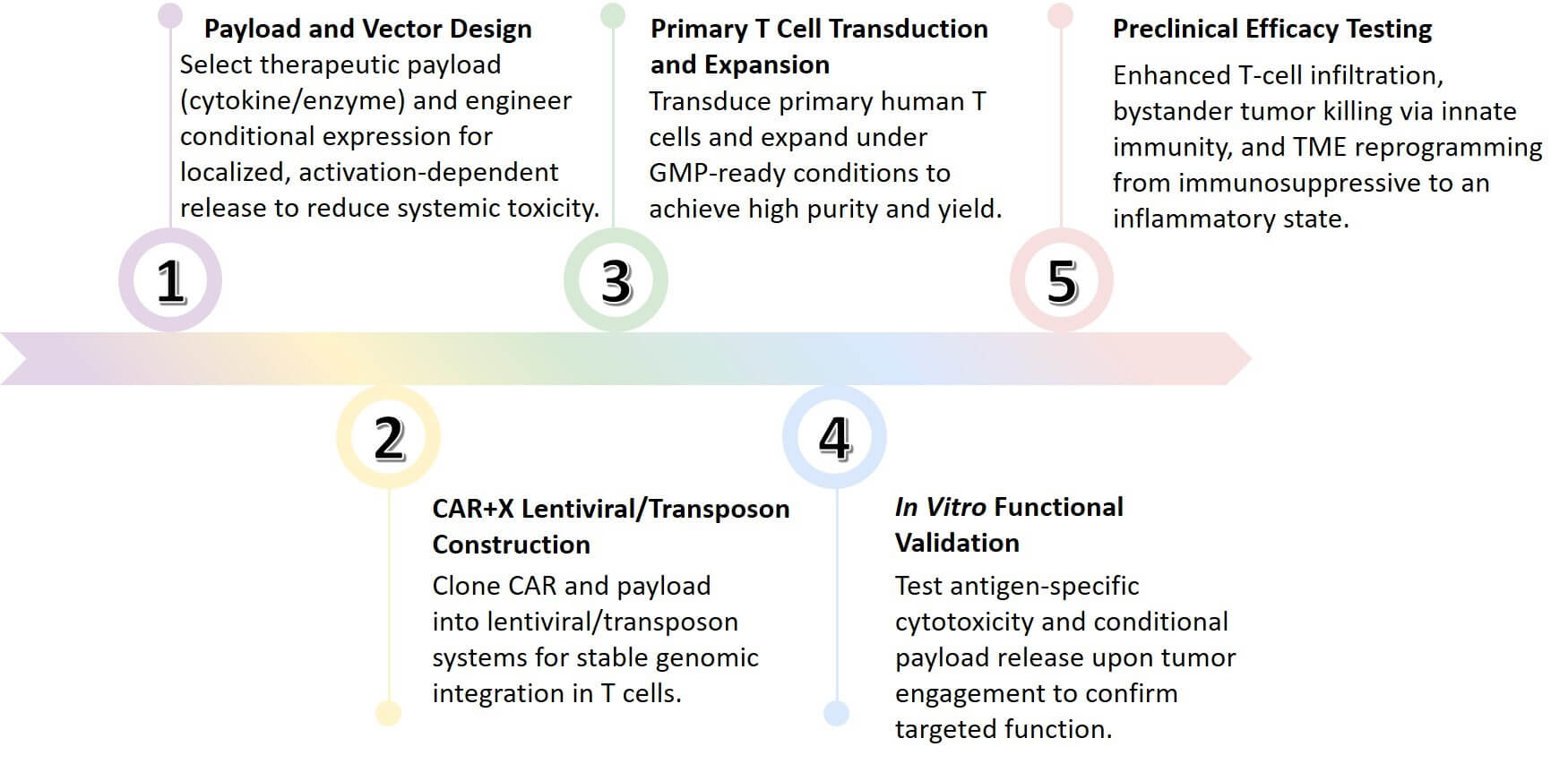 Workflow of Cytokine-Secreting CAR-T Development. (Creative Biolabs Original)