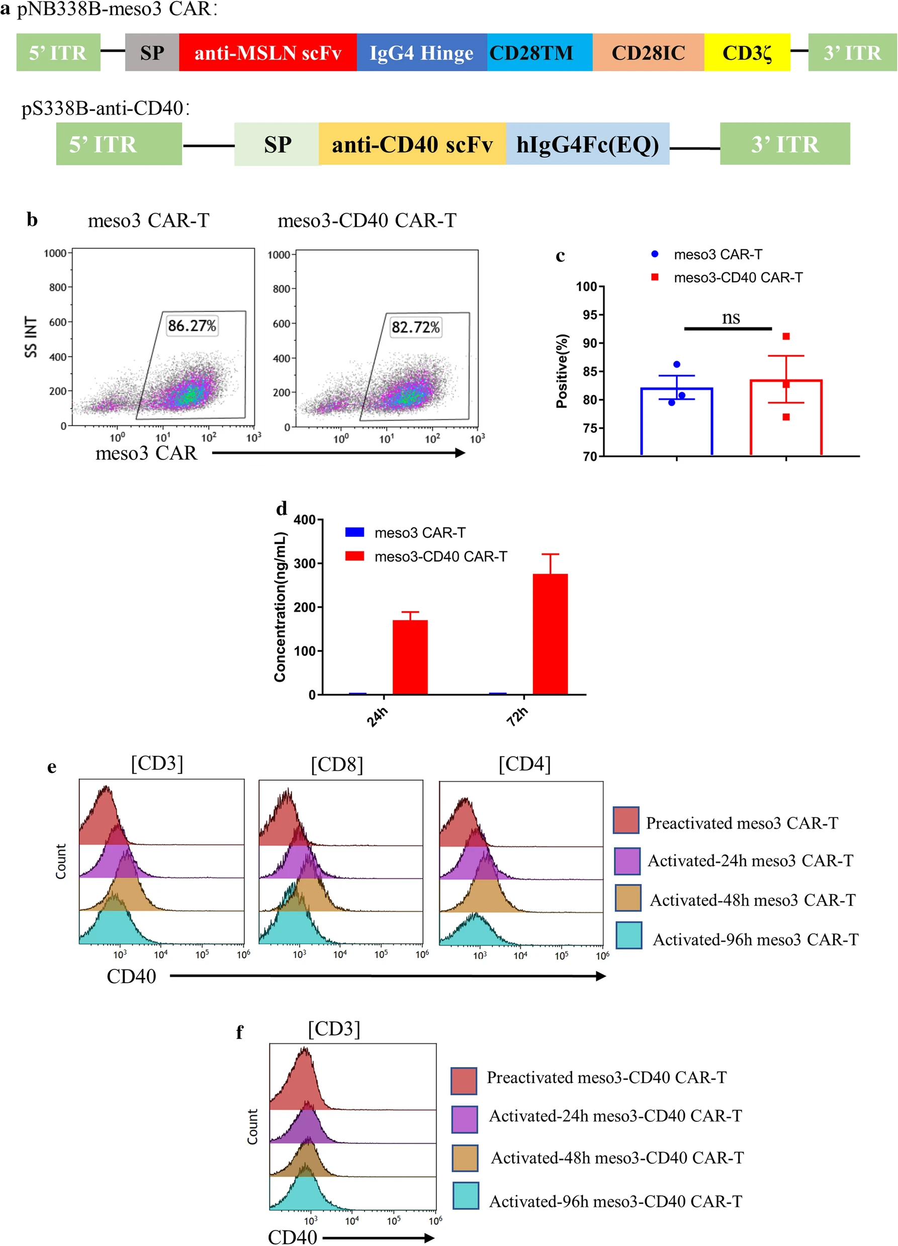 CAR-T cells engineered to secrete CD40 antibody (OA Literature)