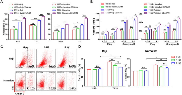 Engineered switch receptors for enhanced CAR-T cell cytotoxicity (OA Literature)