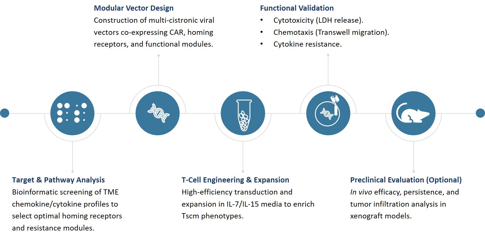 Workflow of Target Cytokine & Chemokine Milieu. (Creative Biolabs Original)