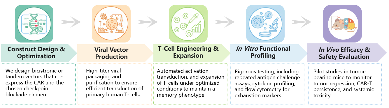 Workflow of Solid Tumor Targeting CAR-T Development Service with Checkpoint Blockade. (Creative Biolabs Original)