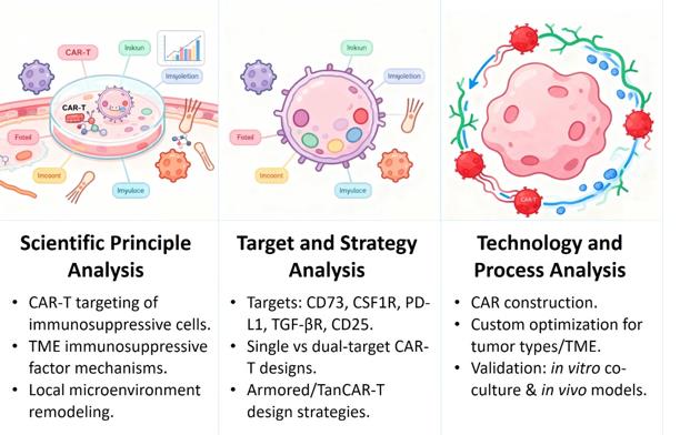Analysis of Target Immunosuppressive Cell Services. (Creative Biolabs Original)
