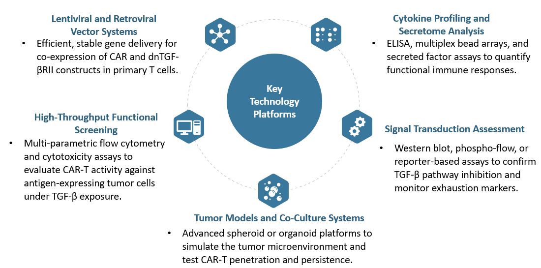 Key Technology Platforms of Solid Tumor Targeting CAR-T Development Service with Dominant-Negative TGF-βRII. (Creative Biolabs Original)