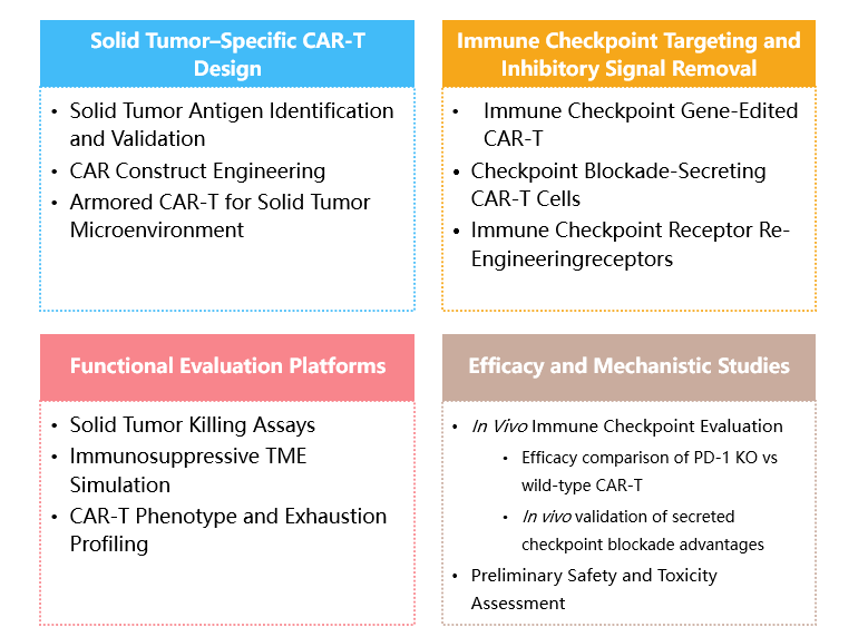 Technical capabilities of Solid Tumor Targeting CAR-T Development Services. (Creative Biolabs Original)
