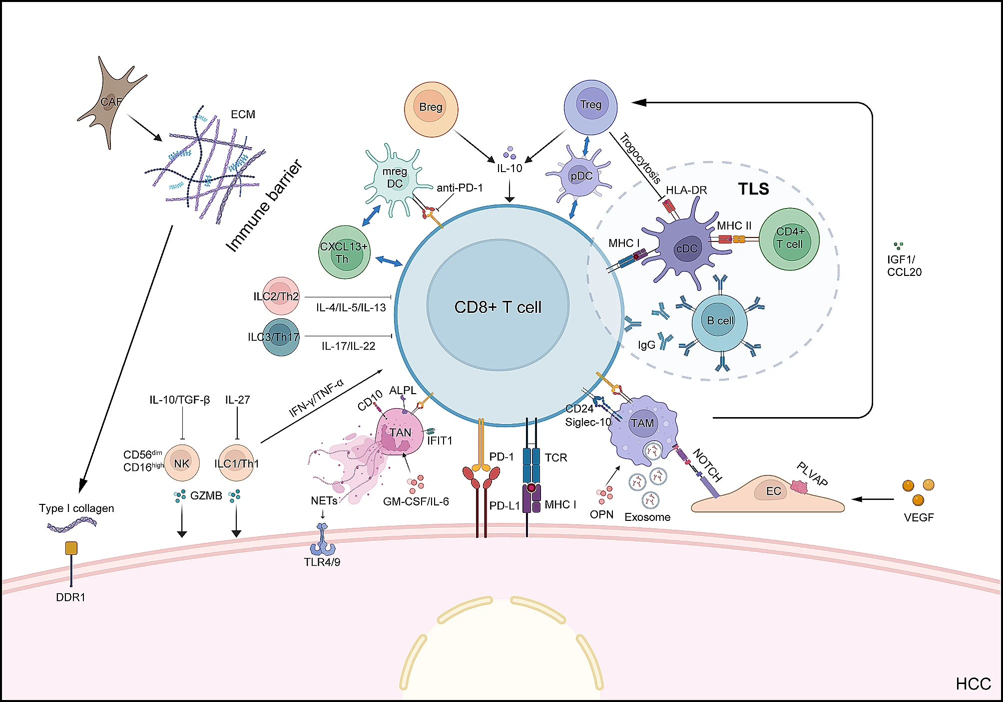 Tumor cell immune microenvironment. (OA Literature)