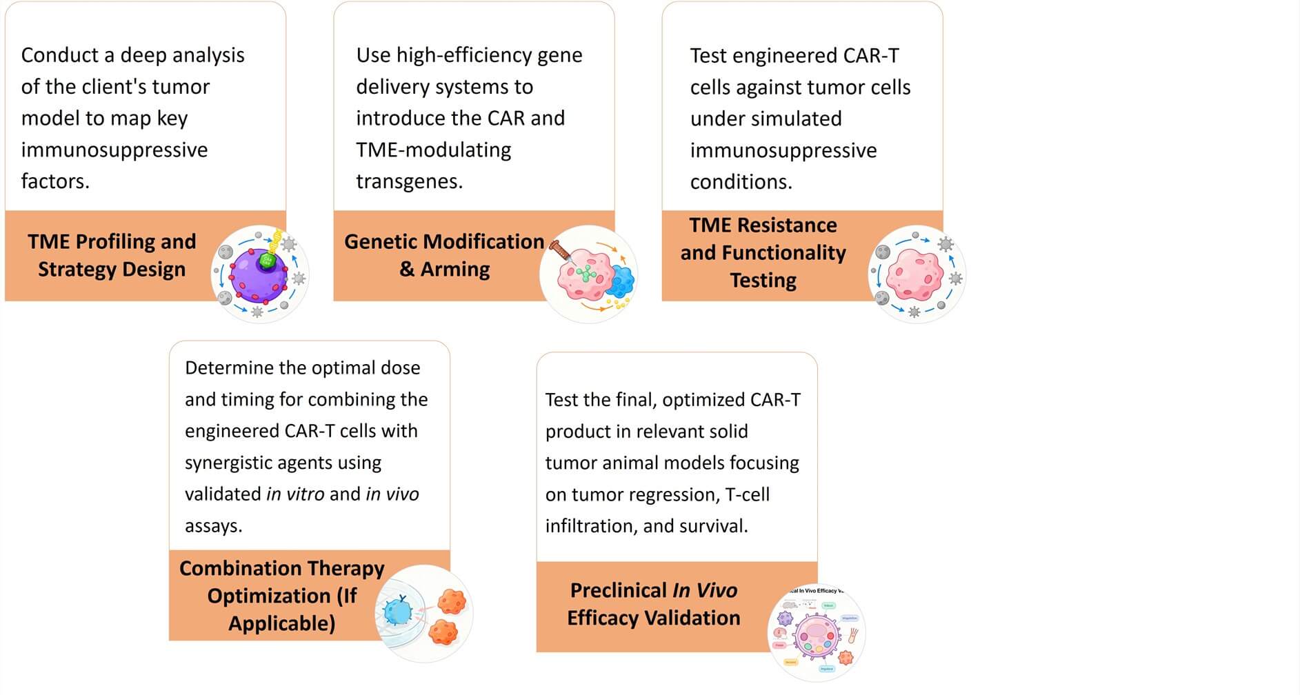 Workflow of CAR-T Development Combat Immuno-Suppressive TME. (Creative Biolabs Original)