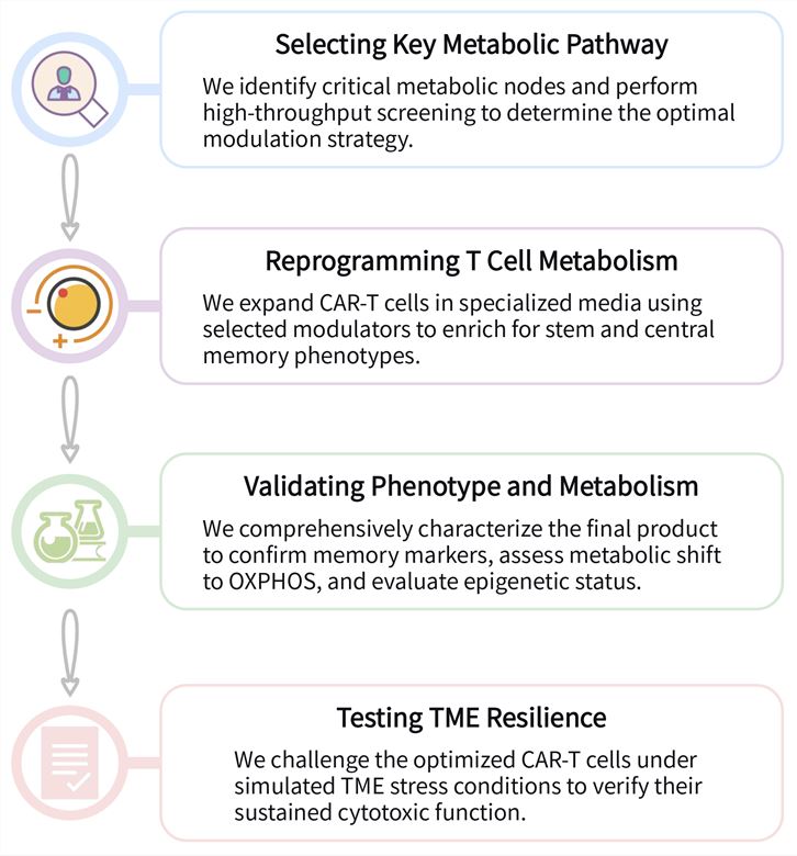 Workflow of solid tumor targeting CAR-T development services by metabolic reprogramming. (Creative Biolabs Original)
