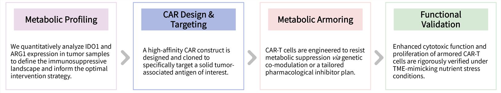 Workflow of solid tumor targeting CAR-T development service by inhibiting IDO & ARG1. (Creative Biolabs Original)