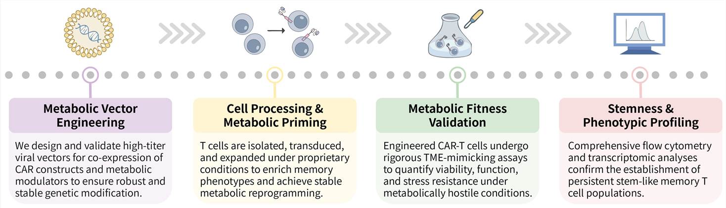 Workflow of solid tumor targeting CAR-T development service by metabolic enzyme overexpression. (Creative Biolabs Original)