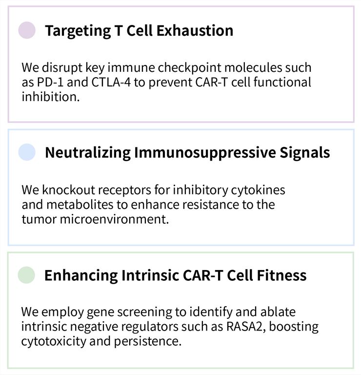 Featured services of solid tumor targeting CAR-T development service by suppressive pathway knockout. (Creative Biolabs Original)