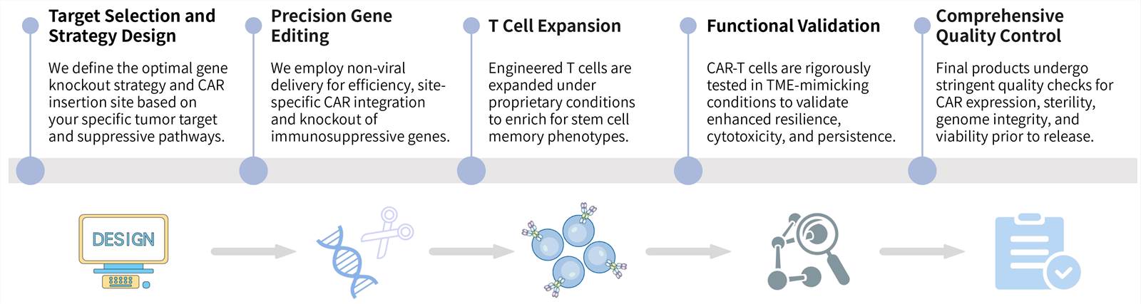 Workflow of solid tumor targeting CAR-T development service by suppressive pathway knockout. (Creative Biolabs Original)