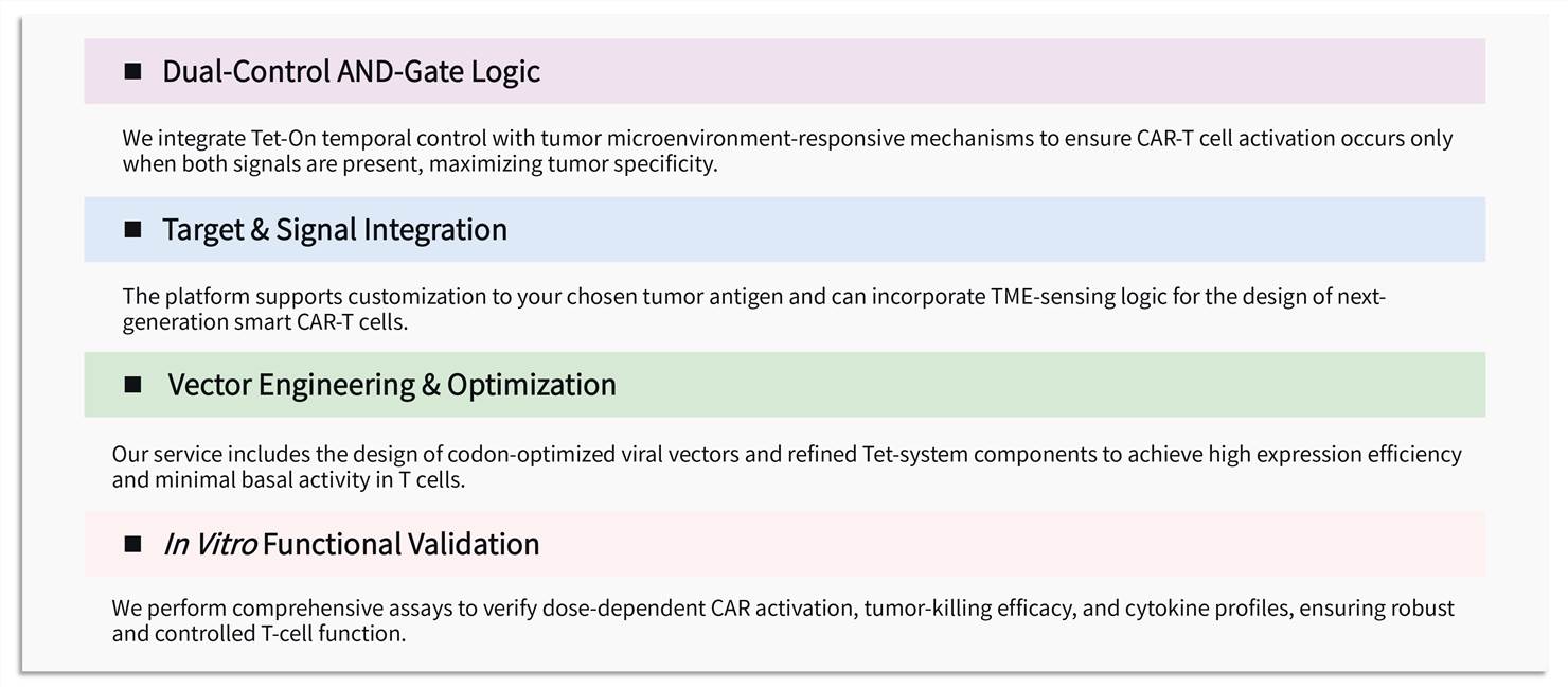 Featured services of solid tumor targeting CAR-T development service with tetracycline-inducible system. (Creative Biolabs Original)