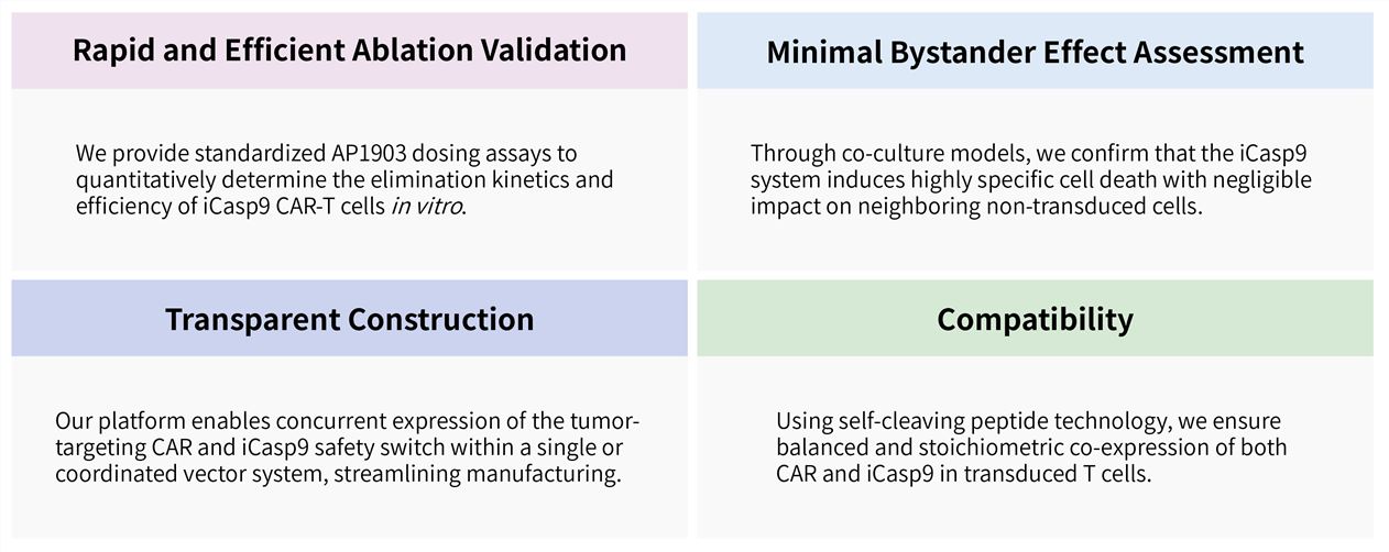 Featured services of solid tumor targeting CAR-T development service with iCas9 suicide gene system. (Creative Biolabs Original)