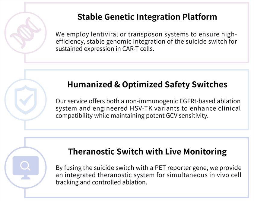 Featured services of solid tumor targeting CAR-T development service with ganciclovir-activated switch. (Creative Biolabs Original)