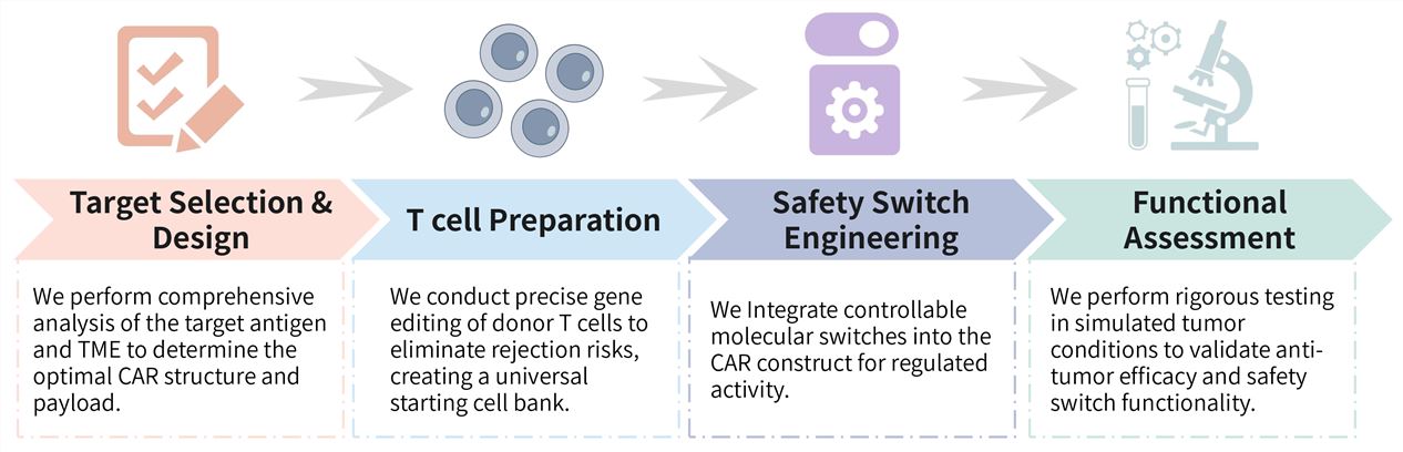 Workflow of solid tumor targeting CAR-T development services with OFF switch. (Creative Biolabs Original)