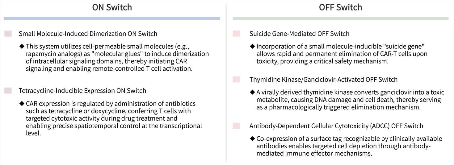 Featured services of solid tumor targeting CAR-T development service with dual ON/OFF switch. (Creative Biolabs Original)