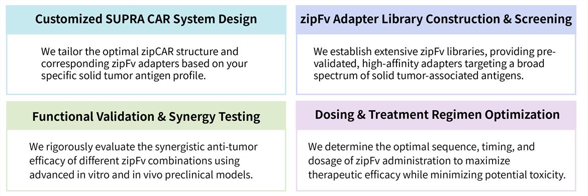 Featured services of solid tumor targeting CAR-T development service with SUPRA CAR system. (Creative Biolabs Original)