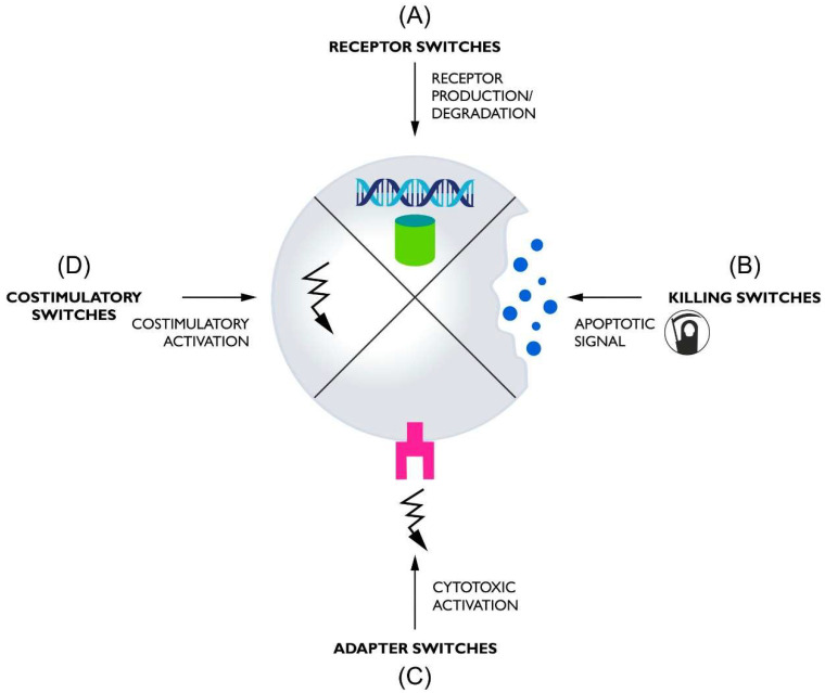 Architectural basis of tunable CAR control: the four primary switch modalities. (OA Literature)