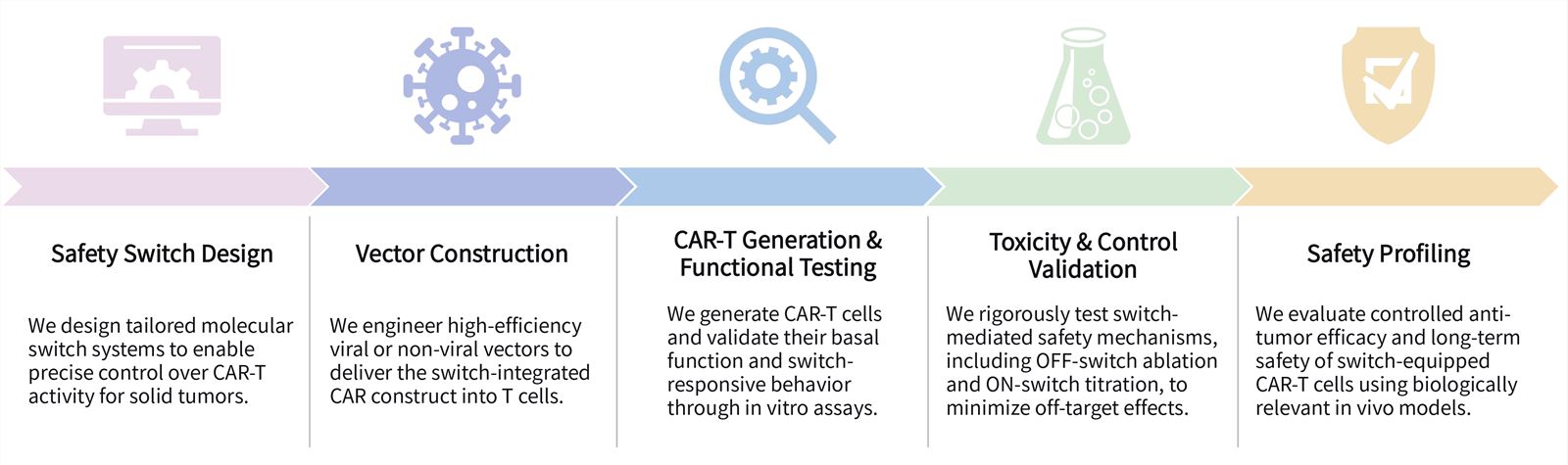 Workflow of solid tumor targeting CAR-T safety & control development services. (Creative Biolabs Original)