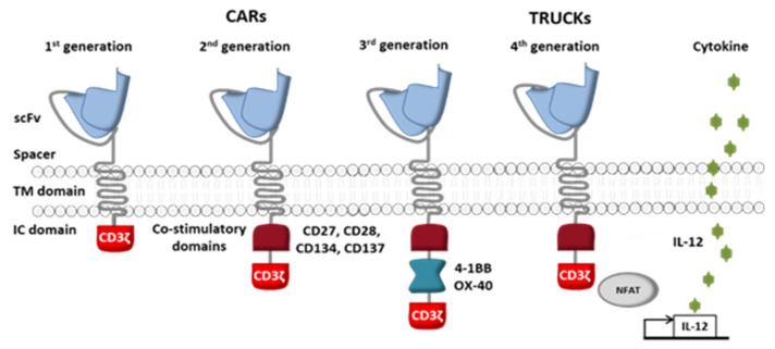 Fig.1 The four generations of CAR-T cells: an evolving immunotherapeutic platform. (OA Literature)