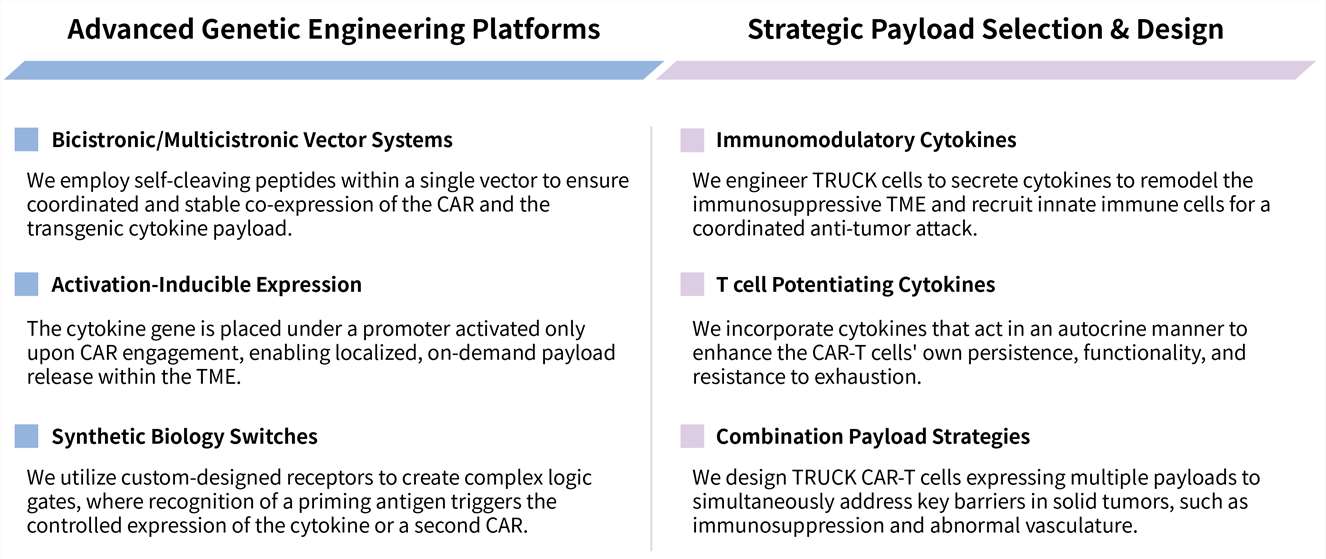 Featured services of TRUCK CAR-T development service. (Creative Biolabs Original)