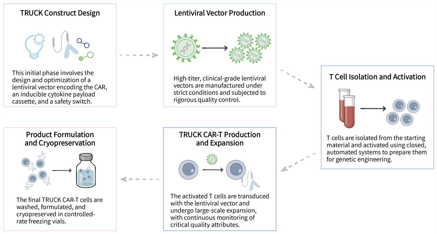 Workflow of TRUCK CAR-T development service. (Creative Biolabs Original)