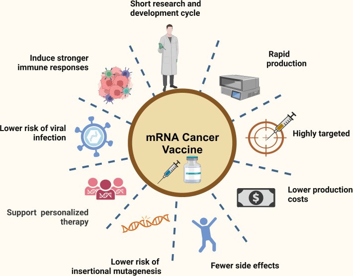 Strategic advantages of mRNA vaccination in antitumor therapy. (OA Literature)
