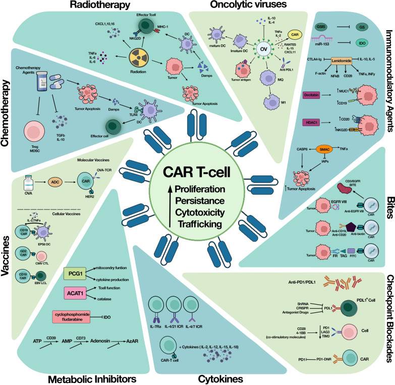 Fig.1 Synergistic strategies: combining CAR-T cell therapy with other cancer treatments. (OA Literature)