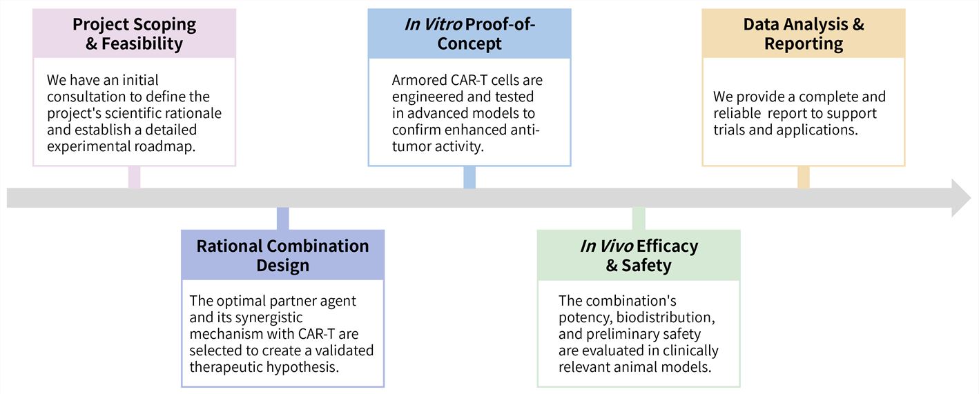Workflow of solid tumor targeting CAR-T combination development services. (Creative Biolabs Original)