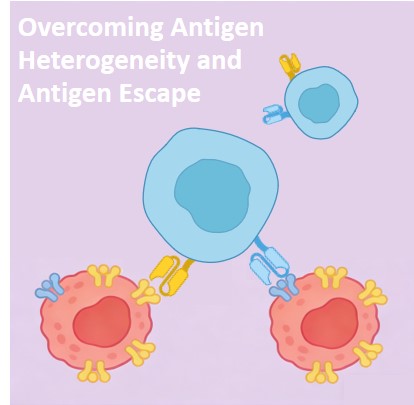 CAR-T Development: Combat Antigen Heterogeneity & Escape. (Creative Biolabs Original)