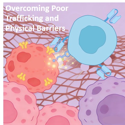 CAR-T Development Combat Poor Trafficking & Physical Barrier. (Creative Biolabs Original)