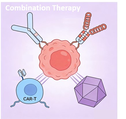 CAR-T Combination Development. (Creative Biolabs Original) 