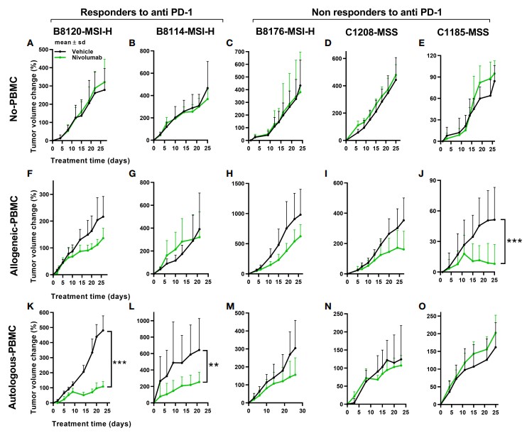 Fig.1 tumor responses to anti-PD-1 therapy.(Kanikarla, et al., 2022)