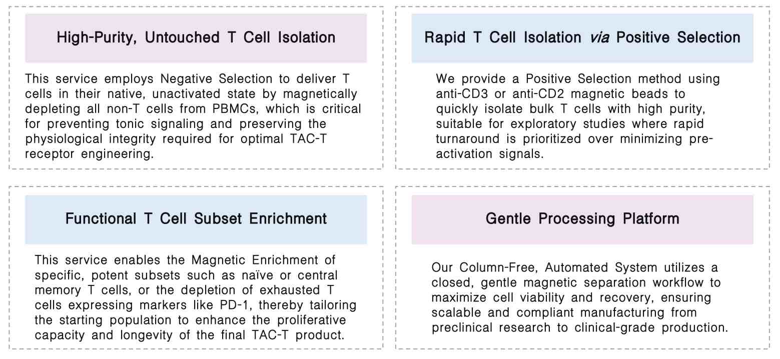 Featured services of autologous T cell isolation & enrichment service at Creative Biolabs. (Creative Biolabs Original)