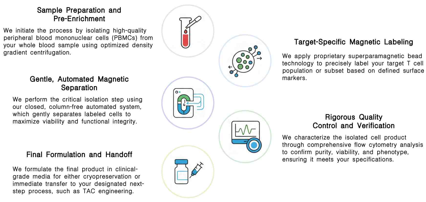 Workflow of autologous T cell isolation & enrichment service at Creative Biolabs. (Creative Biolabs Original)